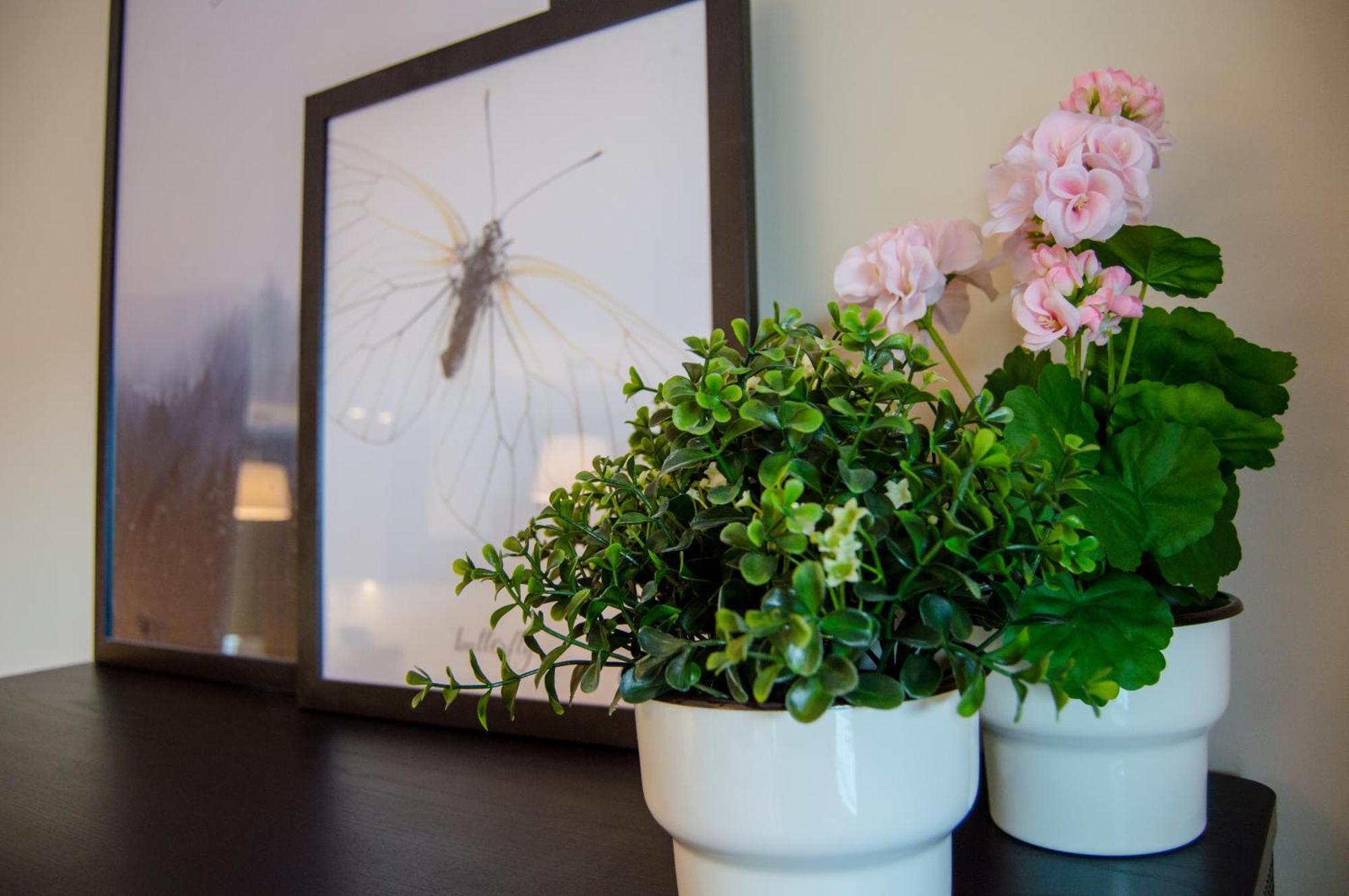 Grand Apartments - Apartments Spa Waterlane Island Gdansk Ngoại thất bức ảnh
